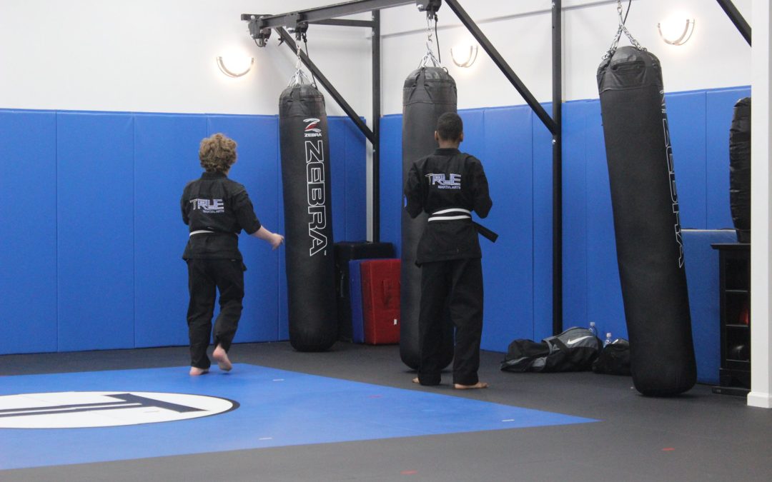 Unlocking Potential: TRUE Martial Arts in West Bloomfield Since 2009