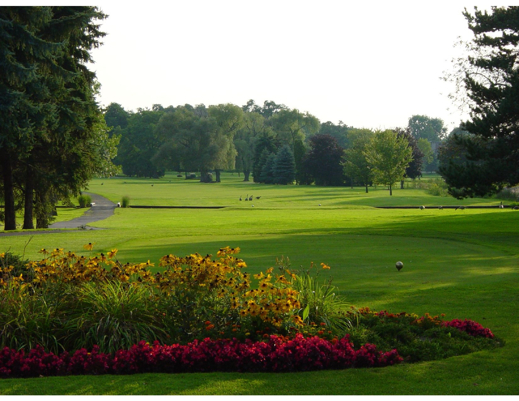 Embark on Your Golf Journey in West Bloomfield, starting at the iconic first tee.