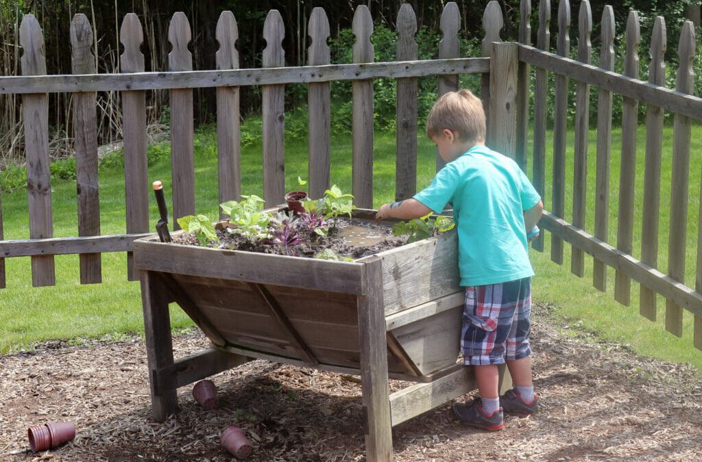 A Guide to Outdoor Fun: Exploring West Bloomfield’s Nature Room and Recreation Activities Center