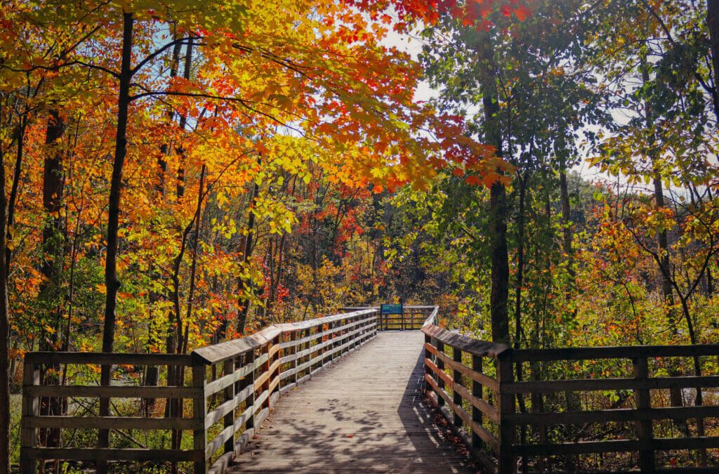 A Guide to the Amenities and Wildlife of West Bloomfield Woods Nature Preserve