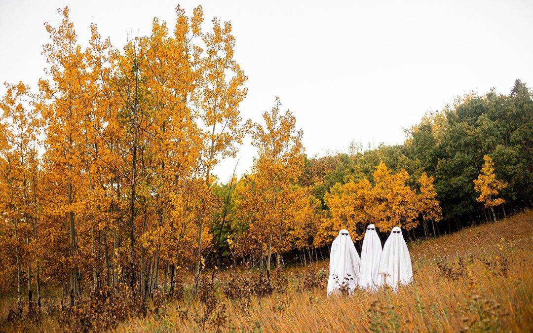 Don’t Miss Out! Marshbank Park’s Trick-or-Treat Trail Event Details