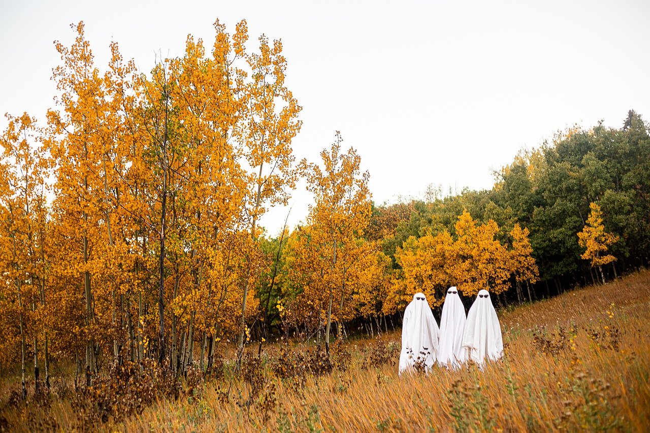 Don't Miss Out! Marshbank Park's Trick-or-Treat Trail Event Details