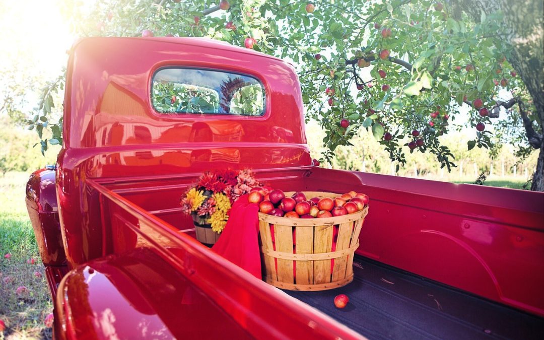 Franklin Cider Mill: Where Tradition Meets Community